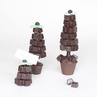 after eight christmas sweet tree by sweet trees