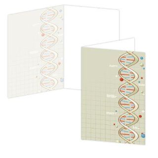 ECOeverywhere Molecular Boxed Card Set, 12 Cards and Envelopes, 4 x 6 Inches, Multicolored (bc14093)  Blank Postcards 