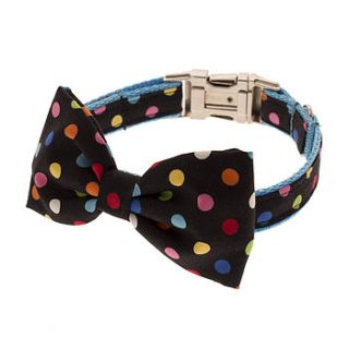 spotty bow tie dog collar by mrs bow tie