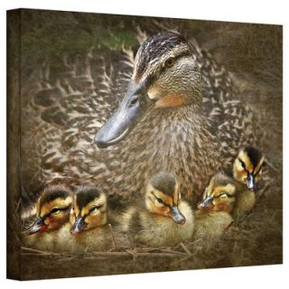 Art Wall Baby Ducks by David Liam Kyle Graphic Art Canvas