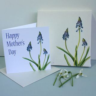 grape hyacinth mothers day gift set by the botanical concept