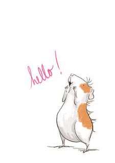 hello guinea pig by marbles ink