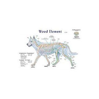 Canine 5 Element Meridian Chart Set of 4 Dog (Lake Forest Anatomicals Vet Models)Lake Forest Anatomicals Vet Models TallGrass
