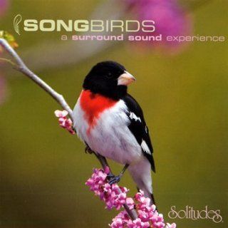 Songbirds A Surround Sound Experience [SACD] Music
