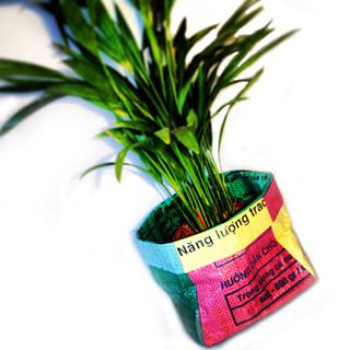 fairtrade recycled flower pot by ellen mary gardening