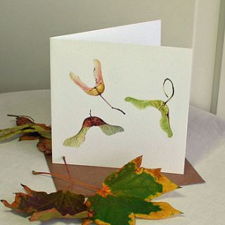 'maple seeds' autumn nature card by the botanical concept