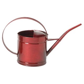 Houston International Watering Can