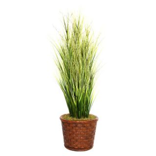 Laura Ashley Home Tall Onion Grass in Round Tapered Fiberstone Planter