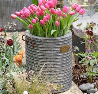 burnham vintage style galvanised container by foras