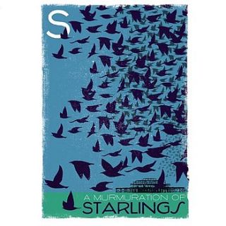 graphic design print starlings by lavender room