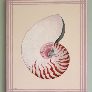 "nautilus shell" canvas by edwina cooper designs