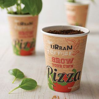 grow your own pizza kit by the urban farmer