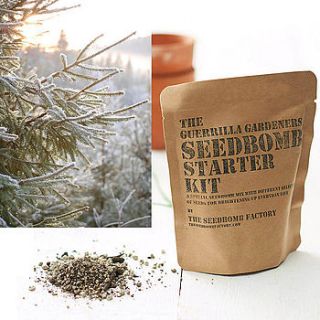 christmas tree seed bomb kit by the seed bomb factory