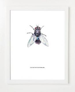 fly on the wall art print or canvas by i love art london
