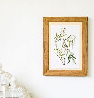 'white willow' framed vintage print by bonnie and bell