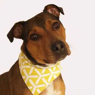 twirl geometric dog bandana by east end best friend
