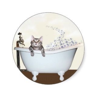 Kitty bath time stickers