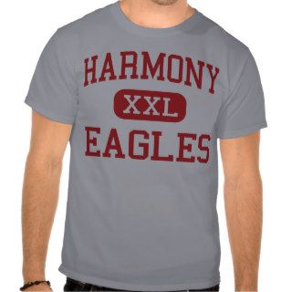 Harmony   Eagles   High School   Big Sandy Texas Shirts