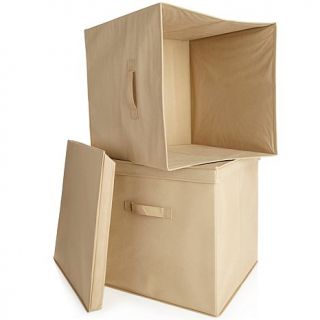 Origami Storage Bin 2 pack for Large Rack