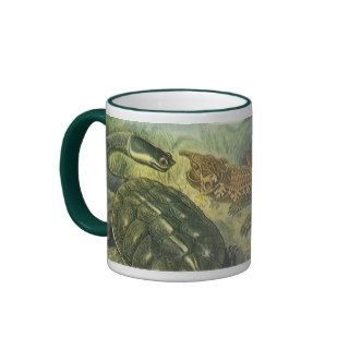 Vintage Sea Turtles and Tortoises by Ernst Haeckel Coffee Mugs