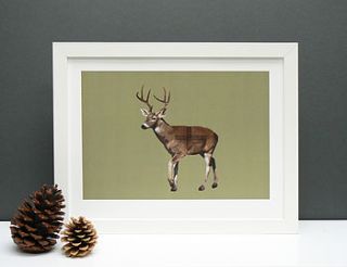 stag print by frost + dutch