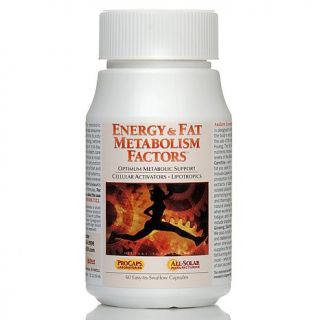 Andrew Lessman Energy, Fat Metabolism Factors Supplements   60 Caps