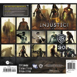 2014 Injustice Gods Among US Wall Calendar Warner Bros Consumer Products 9781423822110 Books
