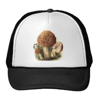 Morel Mushroom Trucker Hat