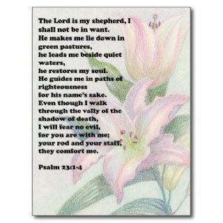 Bible verse and flower lily postcard