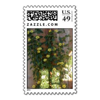 Yellow Flower Trellis Stamp