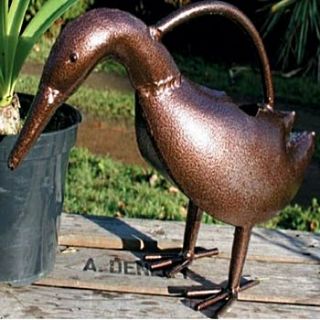 duck watering can by country garden gifts