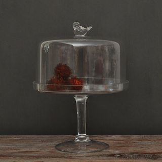 glass pedestal cake stand with bird dome by primrose & plum