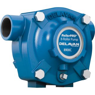 Delavan Cast Iron 8-Roller Pump — 24 GPM, 300 PSI, 1000 RPM, Model# 8900C  Sprayer Pumps
