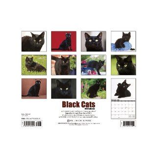 Black Cats 2013 Wall Calendar Willow Creek Press 9781607555117 Books