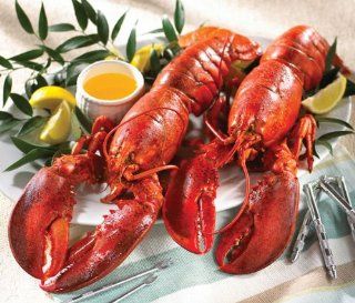 Lobster Gram LG4H LOBSTER GRAM DINNER FOR FOUR WITH 1.5 LB LOBSTERS  Lobster Seafood  Grocery & Gourmet Food