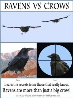 Ravens vs Crows Unavailable  Instant Video