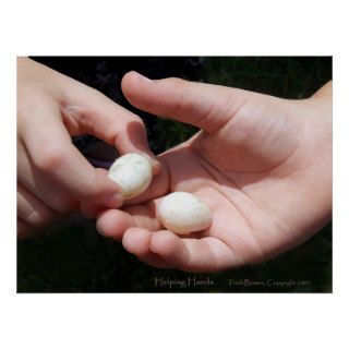Childrens hands and Purple Martin eggs poster