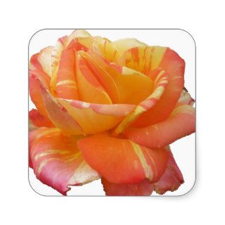 Red Yellow Variegated Rose and Thorn Quote Square Stickers