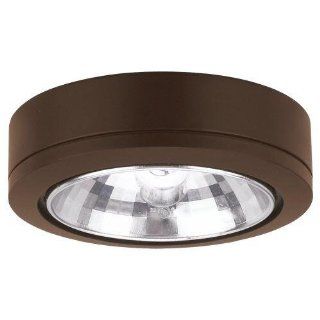 Seagull Lighting 9485 171 Ambiance Accent Disk Light Antique Bronze Painted Antique Bronze   Close To Ceiling Light Fixtures  