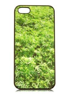 Marijuana Plant Farm Iphone 5 Black Hard Snap on Case Cell Phones & Accessories