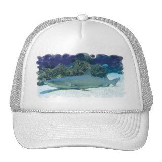 Sharks in Coral Reef Baseball Hat