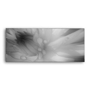 Dahlia Flower In Black And White Envelope