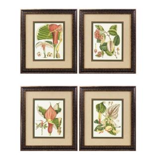 Propac Images Botanical I , II , III and IV Framed Print Set (Set of 4