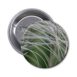 Rainforest Palm Tree Leaf Close Up Pinback Buttons