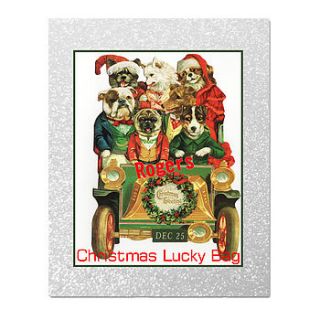 deluxe dog lucky bag for christmas by bijou gifts