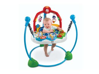 Fisher Price Jumperoo   Laugh n Learn Multi