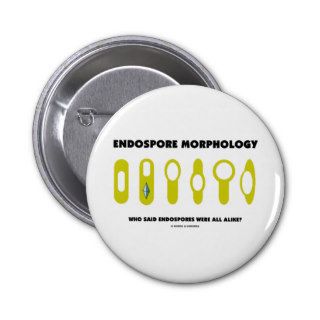 Endospore Morphology   Who Said Were All Alike? Pin