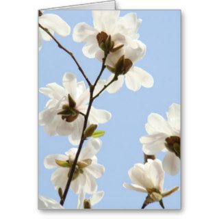 MAGNOLIA FLOWERS 38 Cards Art Gifts Mugs