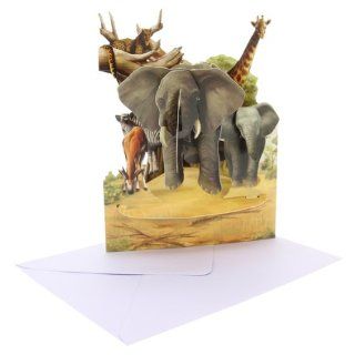 Santoro Interactive 3 D Swing Greeting Card, Safari (SSC132)  Birthday Greeting Cards 