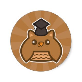 N1ki's Graduation Owl Sticker